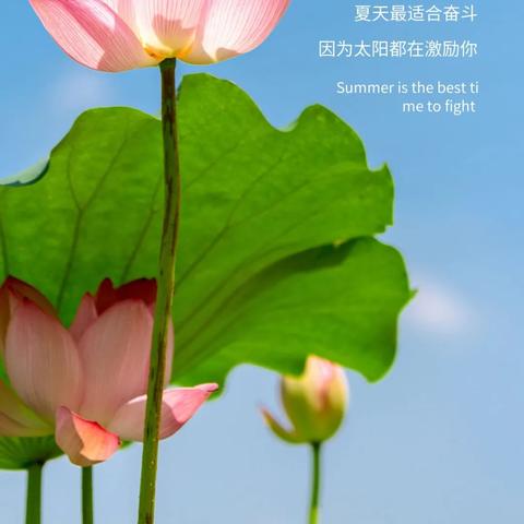 7月25日生肖的运势(2021年7月25特吉生肖)