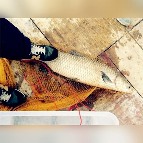 夏天做什么生意好赚钱的长尾关键词是什么