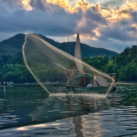 温州市的书店有几家啊在哪里