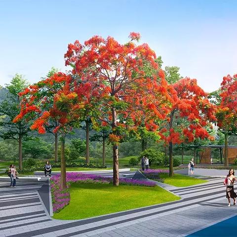 创新大道小学怎么样？