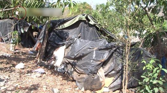 父死母残，9岁少年和73岁祖父捡垃圾为生，两周才有38元咋养家？
