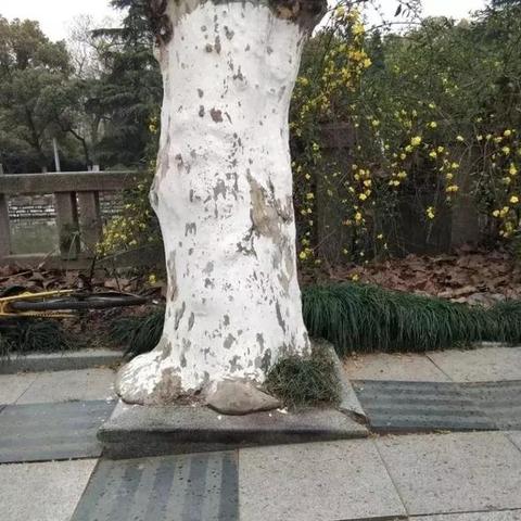 无锡市哪里有水泥砖买呀