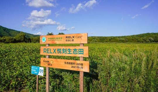 悦刻想送东北虎豹返乡