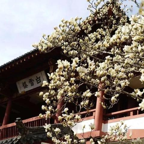 济南市区的阳光幼儿园怎么样