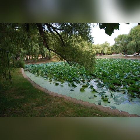 沈阳市马路湾在哪个区