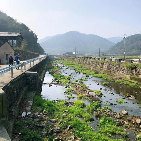 宁波市画龙村是哪个区域