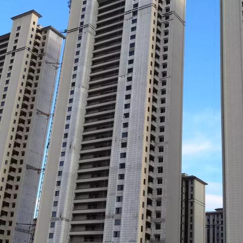 靠近临泉城南公园的碧桂园属于哪个街道？