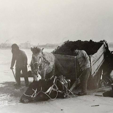 哈尔滨锅炉系列厂家相关长尾关键词有哪些