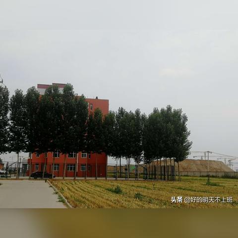 保定市粘玉米的长尾关键词有什么