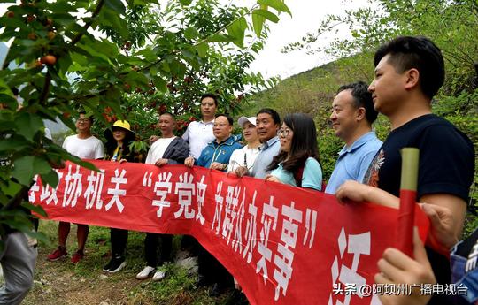 我为群众办实事汶川政协委员助力甜樱桃销售