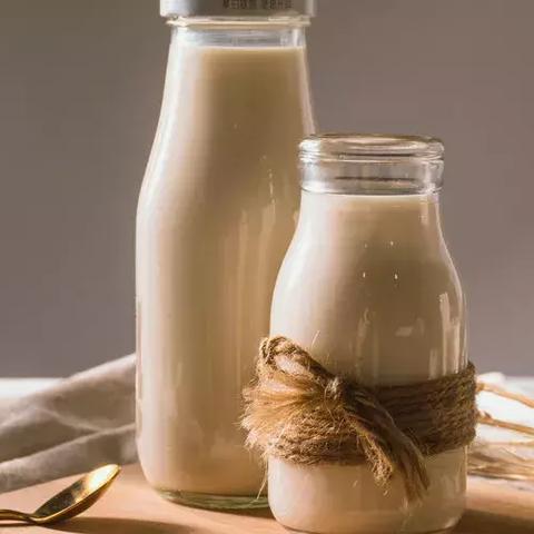 河南骆驼奶哪个好