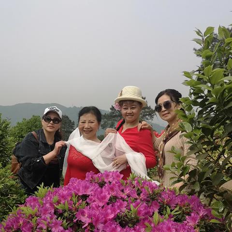 杭州市南山村什么时候拆