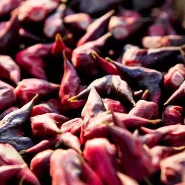 江苏省苏州市常熟市打捞船电话的长尾关键词有什么