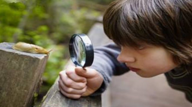 为什么孩子的专注力差