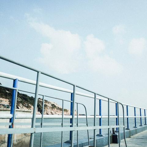 宁波市哪个花鸟市场最大