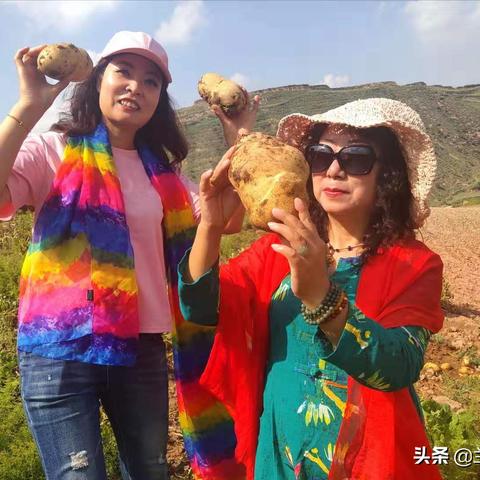 兰州市附近哪里玉米地多