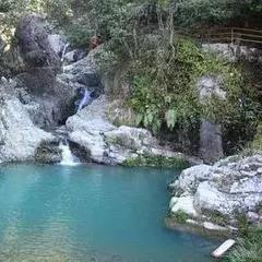 泉州市黄姓有多少人口