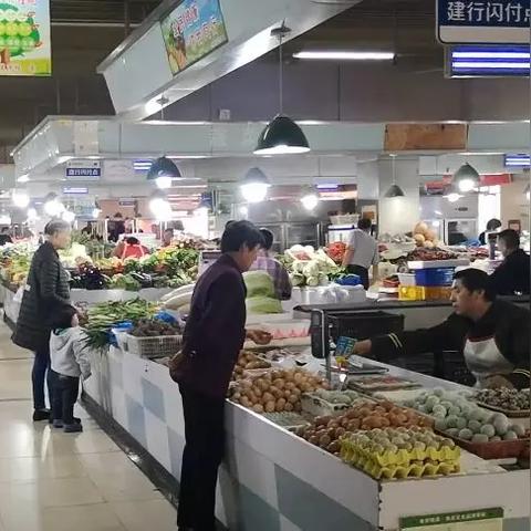 南通市哪里有蔬菜园