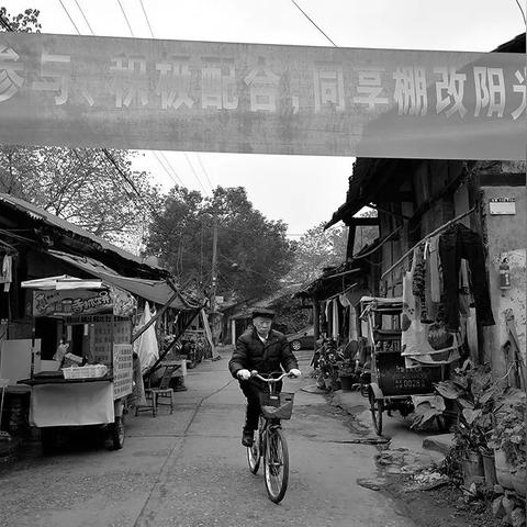 成都市哪里有现杀活鸡