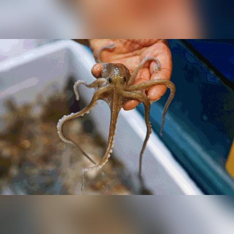 宁波市禁渔期什么时候