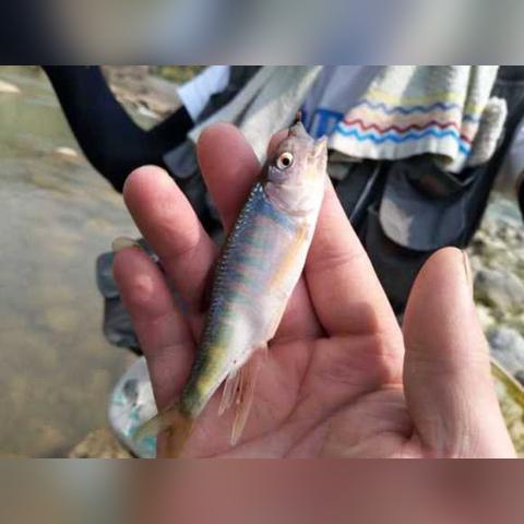 钢结构计算软件哪个好的长尾关键词有哪些