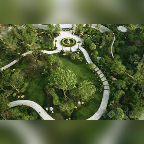 植物大战僵尸：高效布局与资源管理全攻略