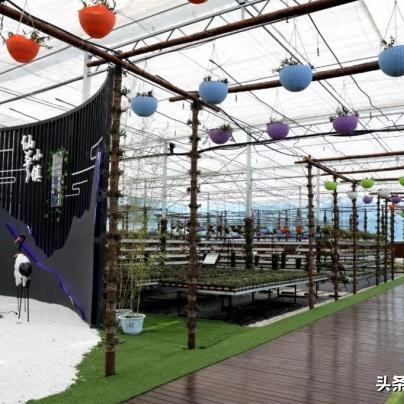 多肽生产线对人身体有哪些好处？