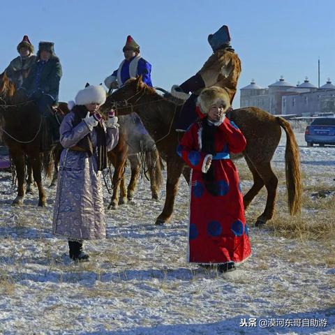 哈尔滨牛羊药厂家相关长尾关键词有哪些