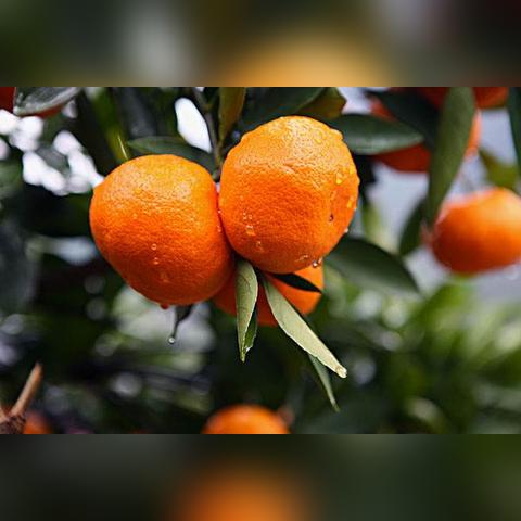 桂林至象州高速路况查询相关长尾关键词有哪些