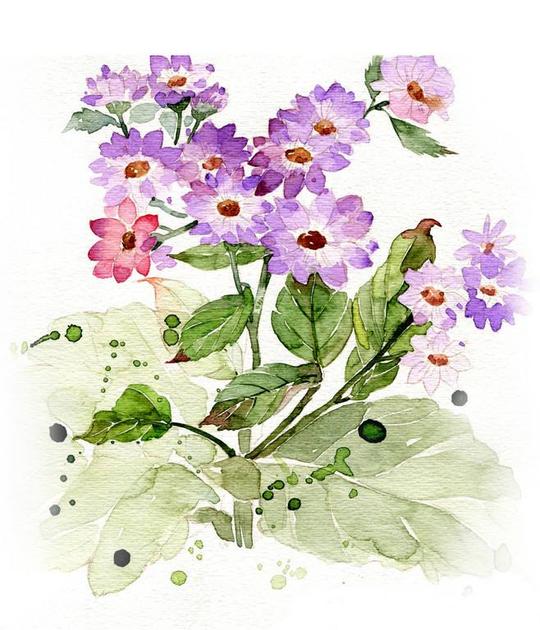 万紫千红，百花齐放，各类花卉的素材空投而来，请保存到手机临摹