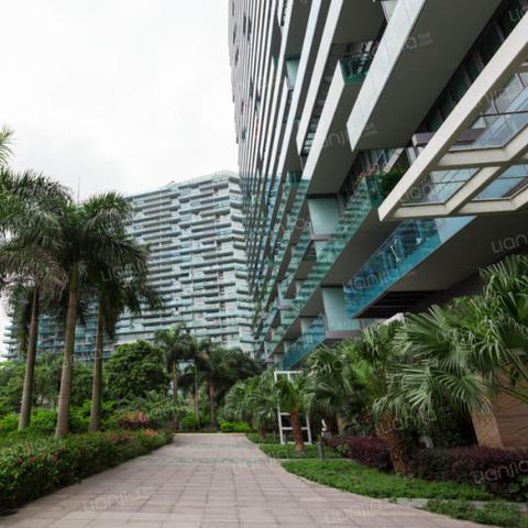 深圳市南山区是什么区