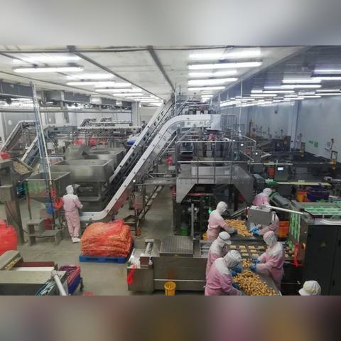 福建安井厂怎么样