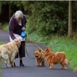 瑞士跨境购物交税多少