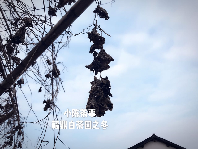 让宝宝舒服过暖冬