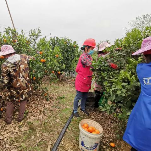 南宁市商务中专怎么样啊