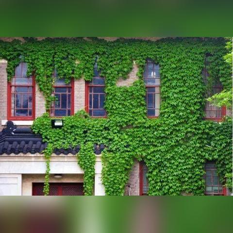 福建绿空调公司怎么样