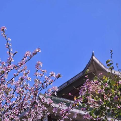 广州市人民是什么意思