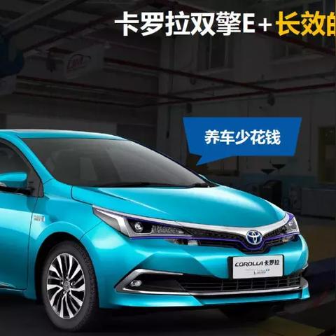 华免集团跨境电商平台 相关的长尾关键词有什么