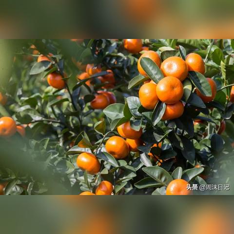 桂林市珍珠瀑布在哪里呀