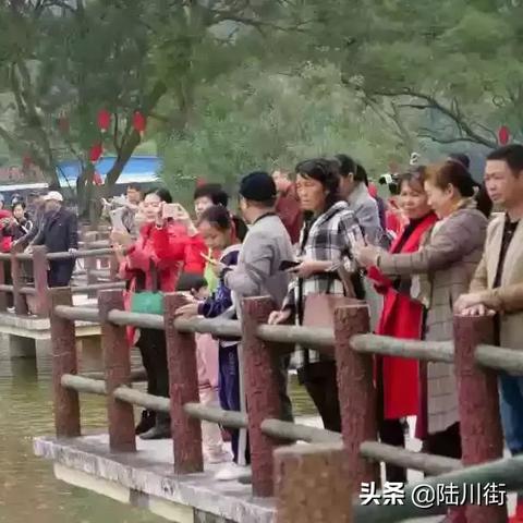 桂林市怎么预约货车通行