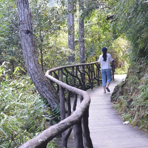 福建避暑哪个楼盘好