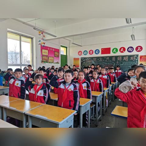深圳育才小学怎么样？