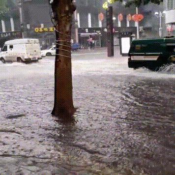 2025.11.10石家庄最新天气预报查询