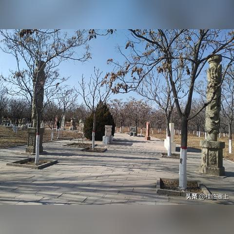 西安市碑林区三号怎么走