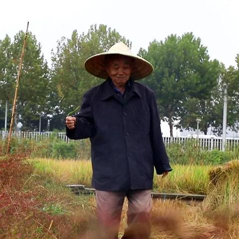 武汉洪山实验中学如何？