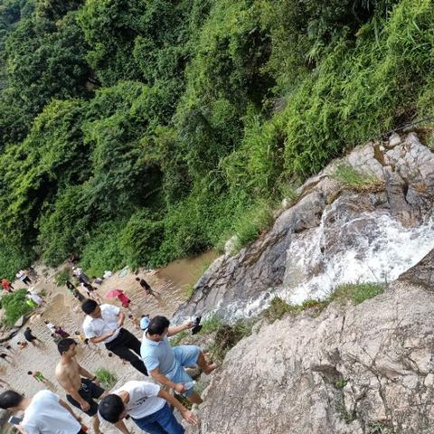 东莞市有哪些公交免费