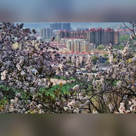 兰州市有几山的相关长尾关键词有哪些