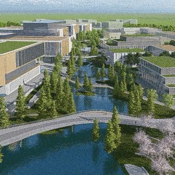 长沙市健康码叫什么名字