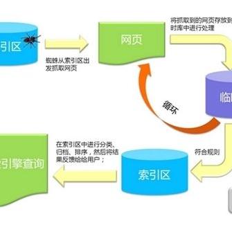 新网站怎么去seo