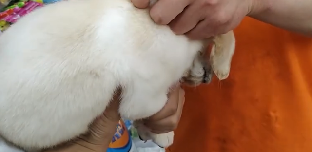宝宝打预防针多久可以洗澡